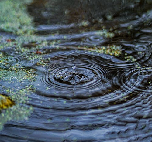 A close up of a water droplet on a leaf