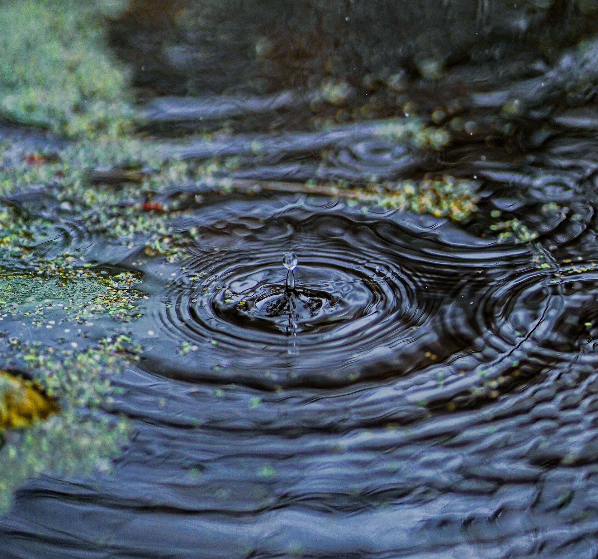 Circles of Water