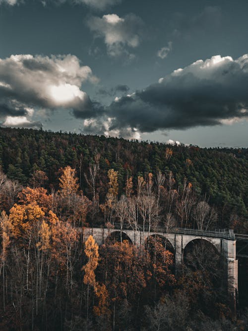 A bridge over a river in the fall