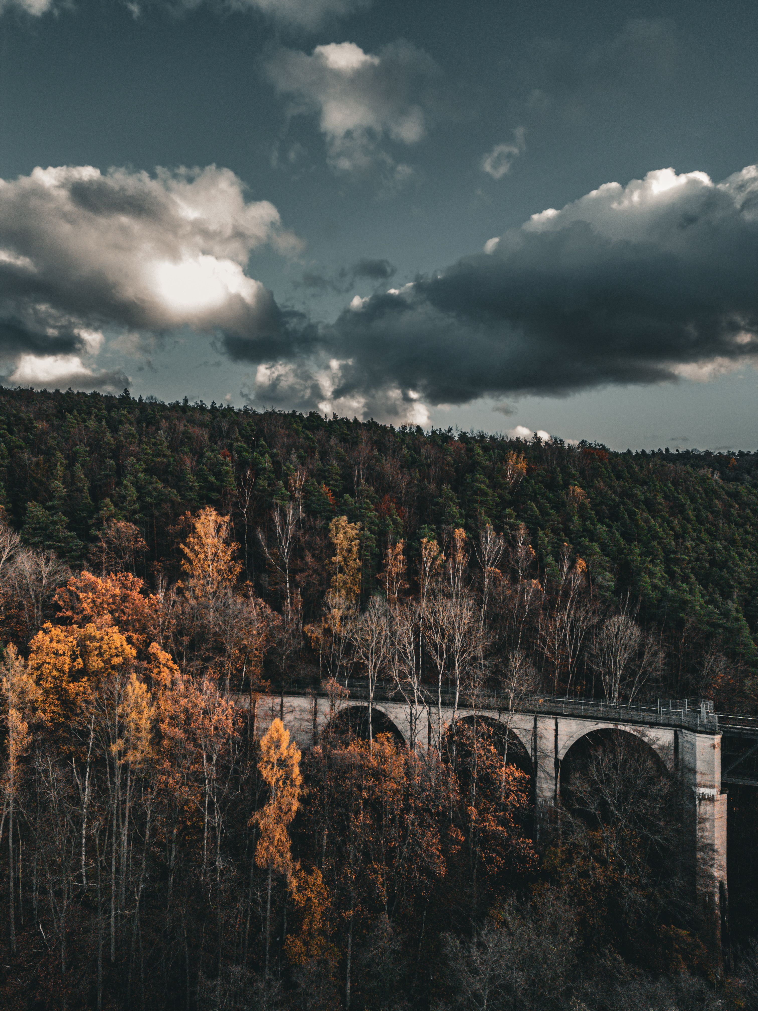 Bridge Between Autumn Trees in Forest · Free Stock Photo
