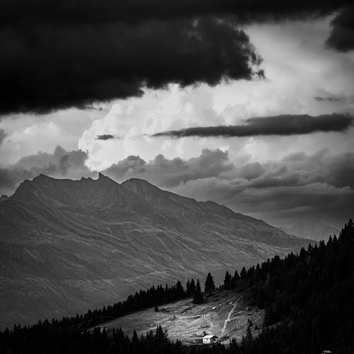 Fotobanka s bezplatnými fotkami na tému čiernobiely, čierny a biely, krajina