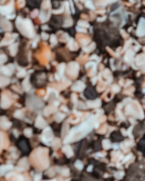 Free stock photo of 4k wallpaper, sea, seashore