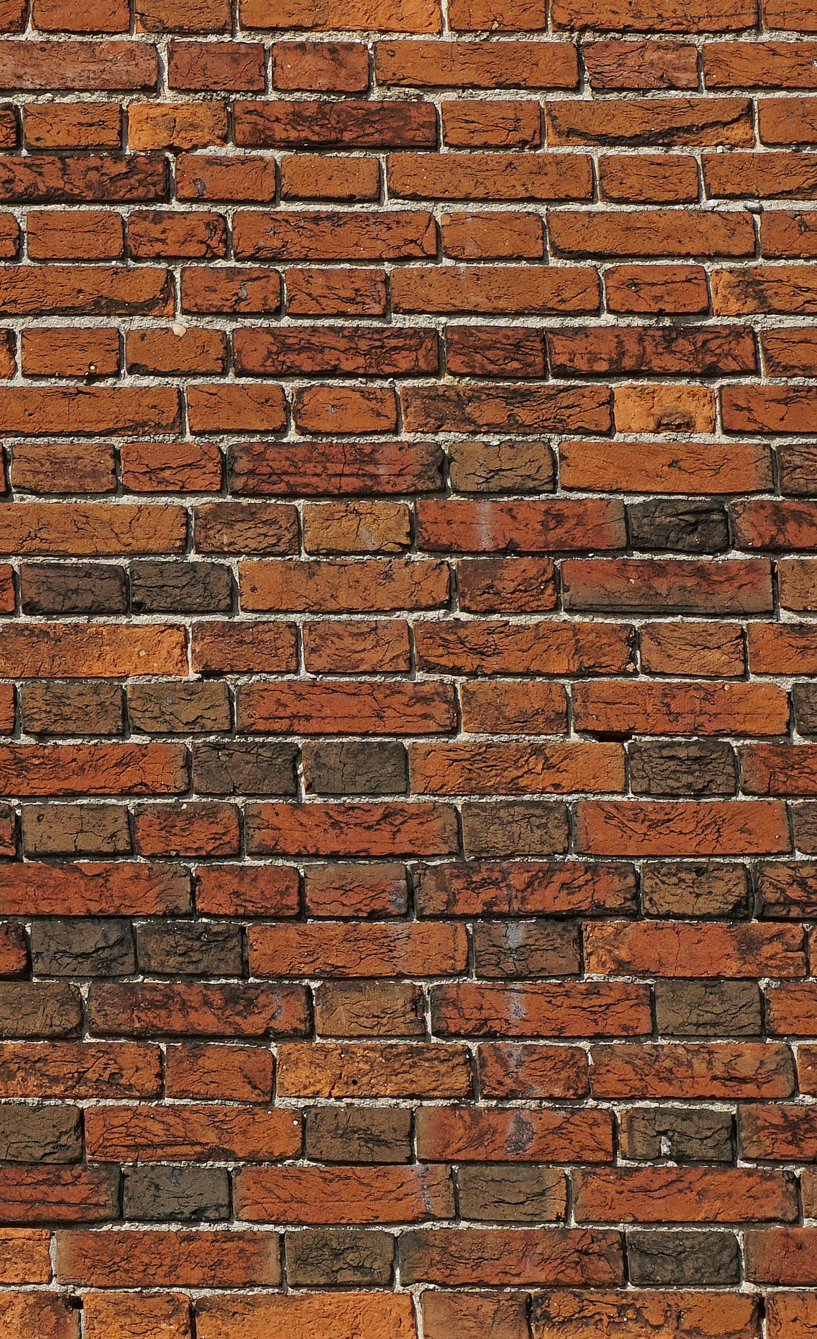 Free stock photo of background, brick, brick wall