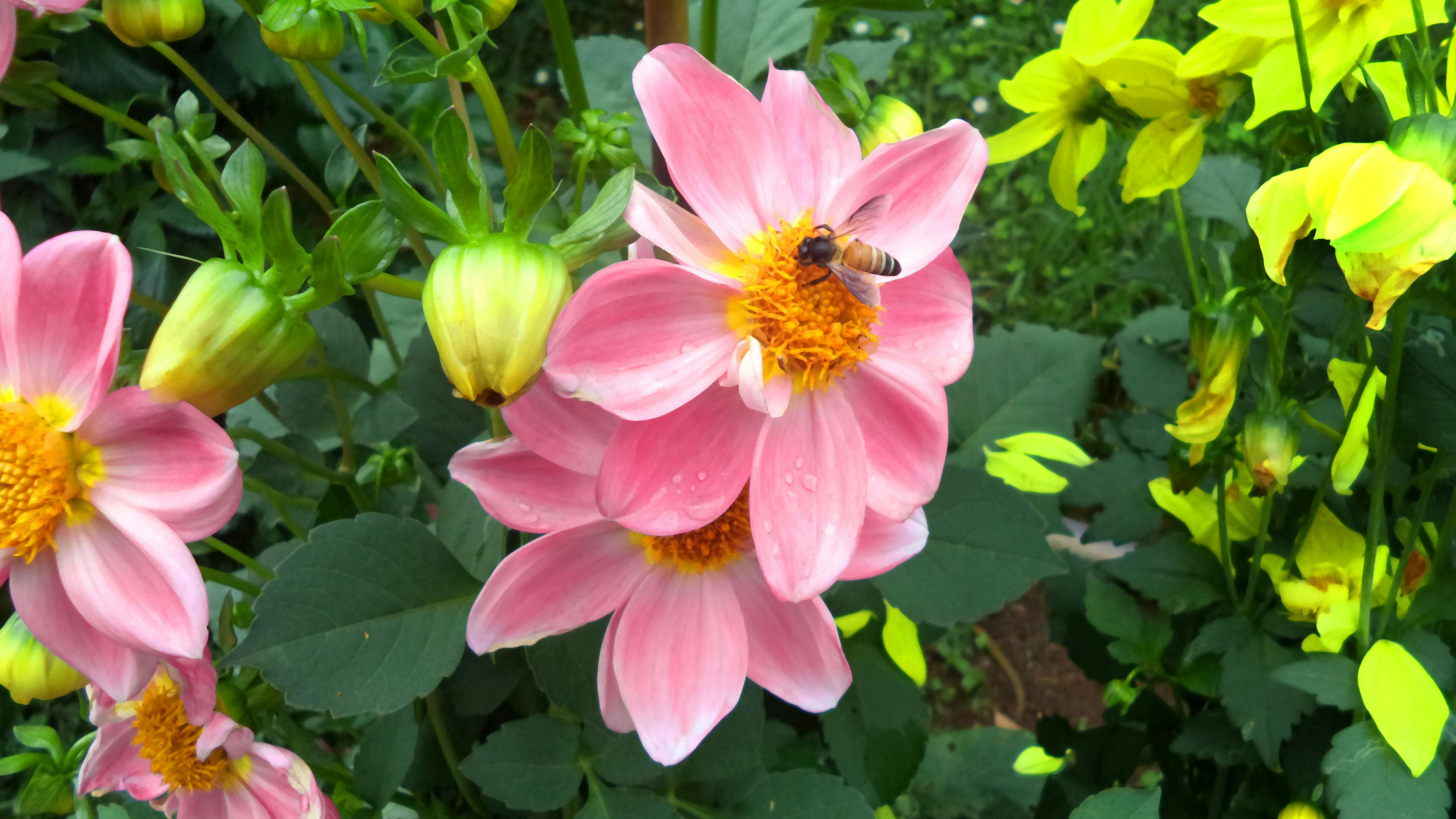 Client handing over watch