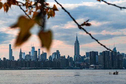 Free stock photo of empire state building, fall colors, manhattan Stock Photo