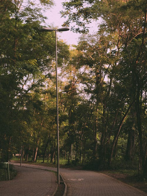 Parc Vide Avec Poteau Lumineux