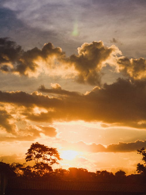 Uitzicht Op Zonsondergang Over Bomen