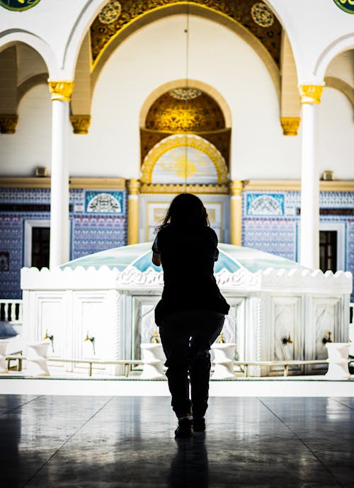 Бесплатное стоковое фото с большая мечеть, декор, женская фигура