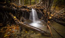 秋叶环绕的森林溪流中，宁静的瀑布倾泻而下