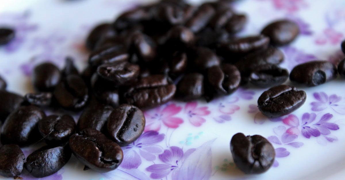How are black beans grown