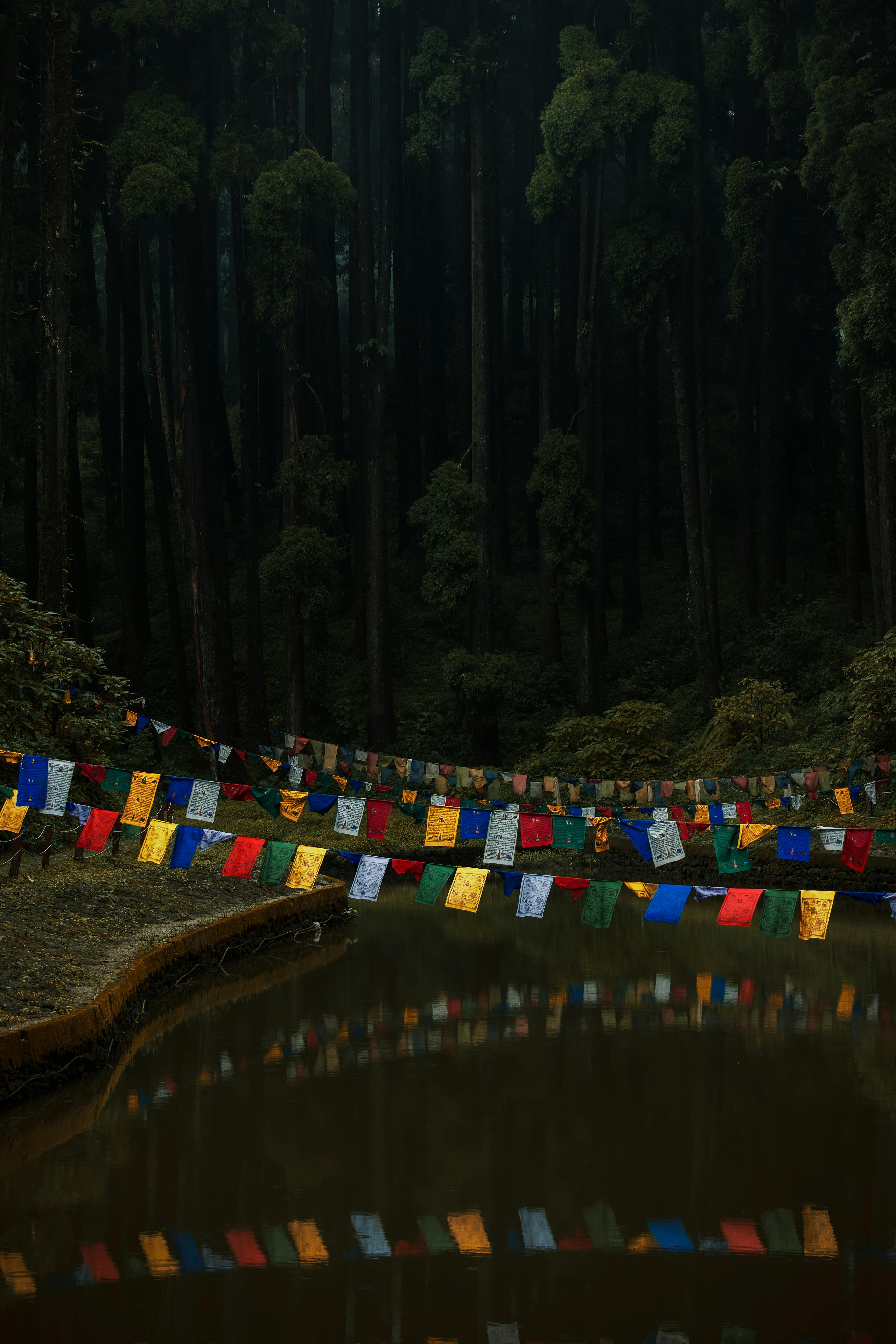 Vibrant prayer flags reflect on a serene lake in Darjeeling, India.