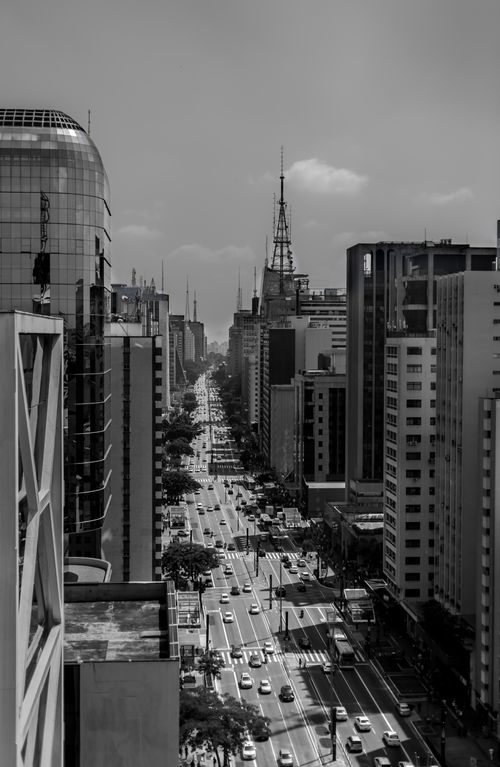 Free Black and white view of São Paulo's iconic Paulista Avenue bustling with urban life. Stock Photo