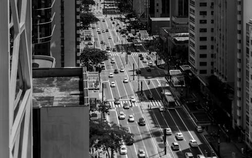 Grayscale Photo Of City