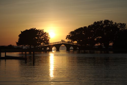 Free stock photo of bridge, landscape, nature