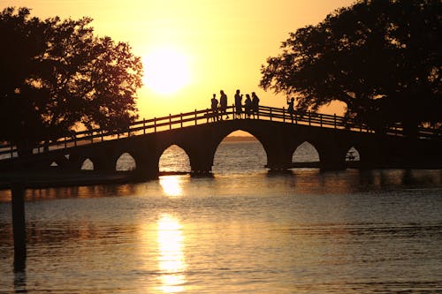 Free stock photo of bridge, landscape, nature