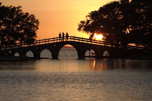 Free stock photo of bridge, landscape, nature