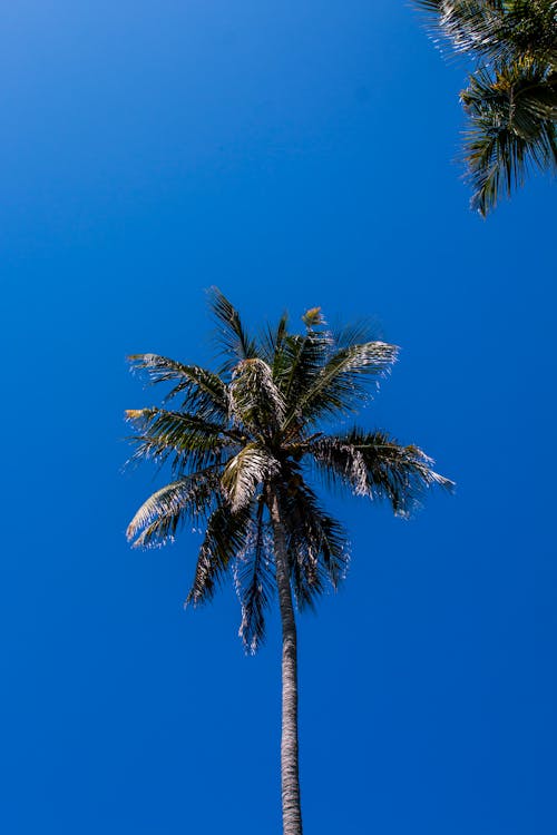 Kostenloses Stock Foto zu blau, insel, meer