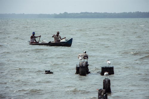 Kostenloses Stock Foto zu insel, karibik, meerwasser