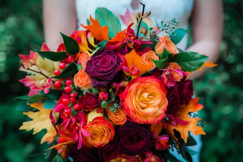 Imagine de stoc gratuită din aranjament floral, buchet, buchet de nuntă