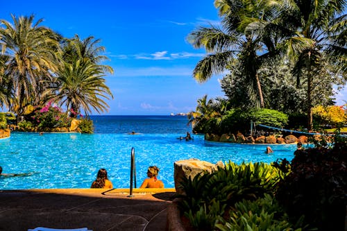 Kostenloses Stock Foto zu hotel, meer, palmen