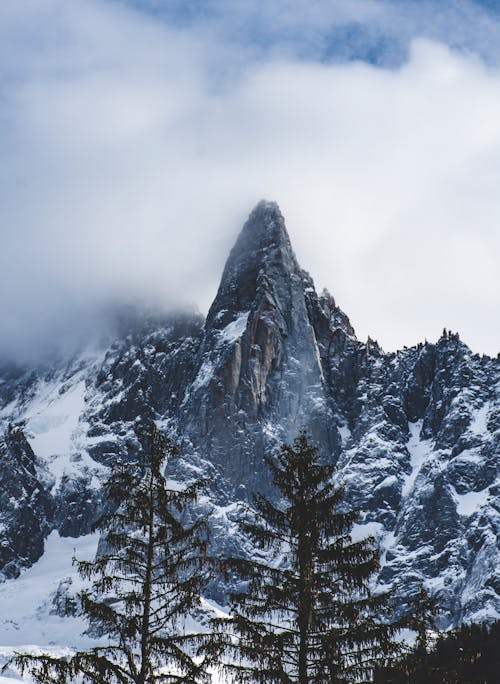 Vista Da Montanha Nevada