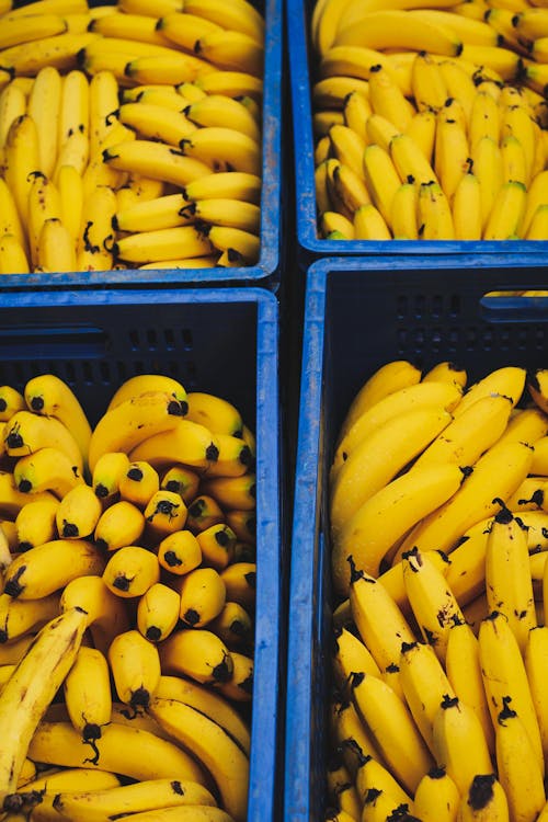 Imagine de stoc gratuită din banană, banane, buchet