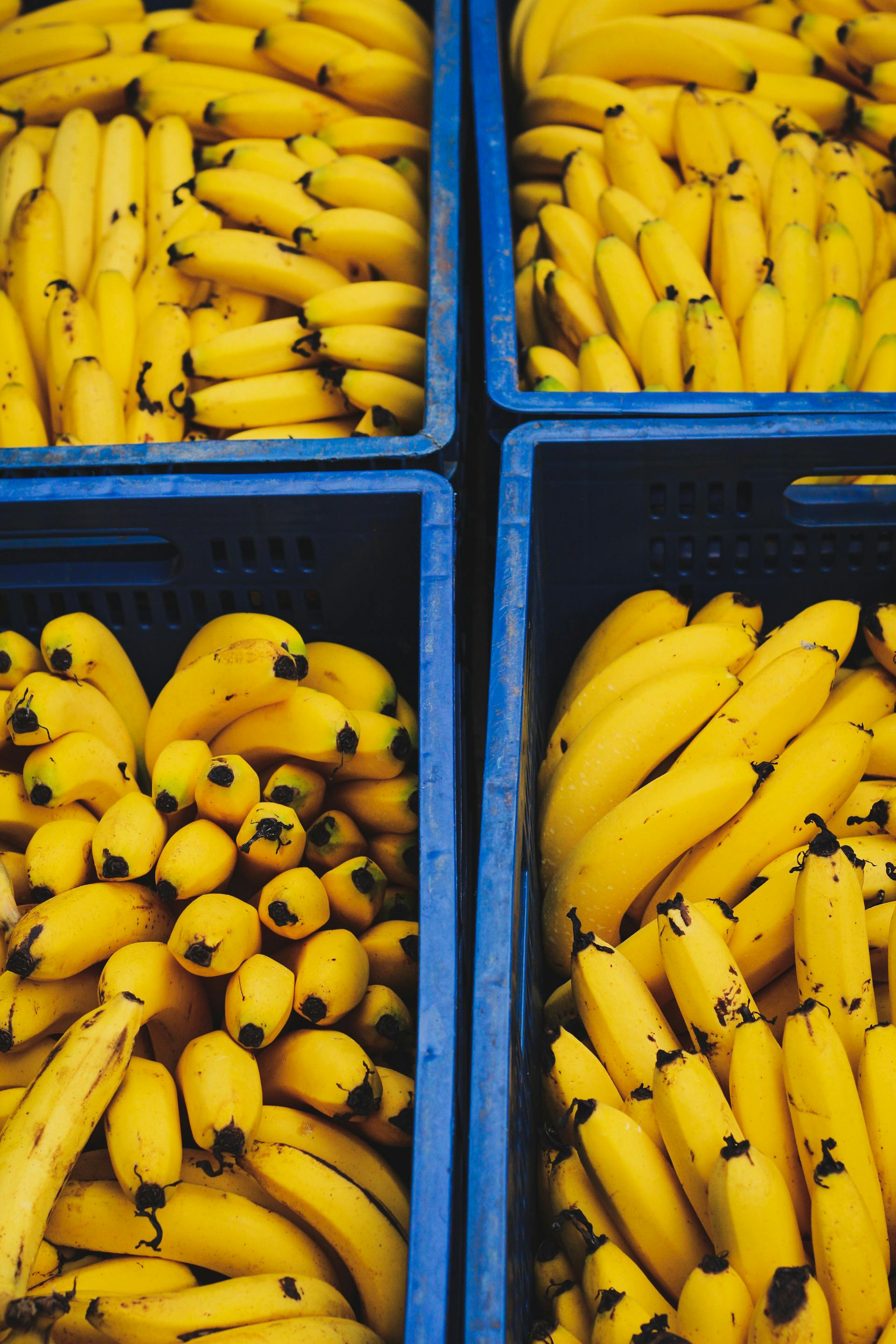 vue de dessus de bananes fraîches 17442888 Photo de stock chez