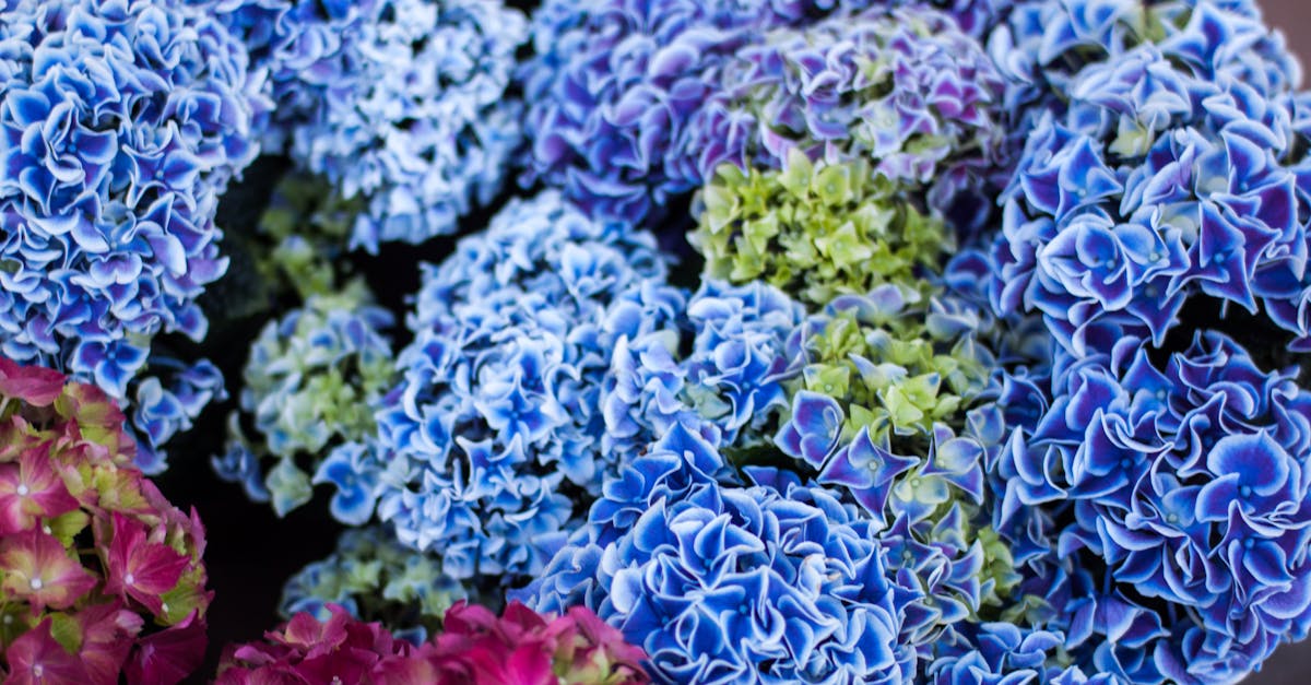 Close Up Photography of Bouquet of Flowers Blooming during Daytime