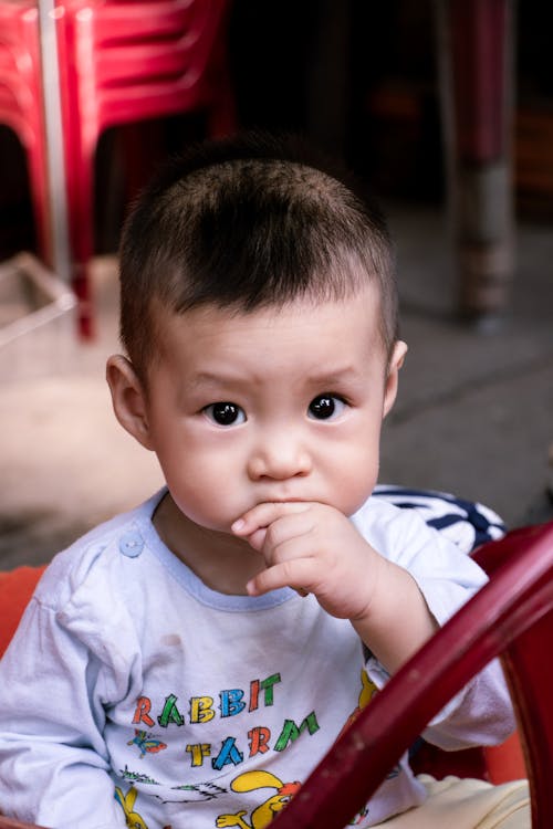 Boy Eating Hands While Sitting on Chair