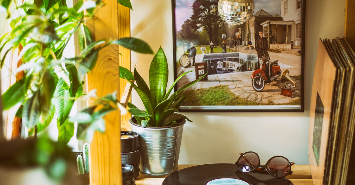 Analysons les vinyles : cadeaux rétro pour papa mélomane