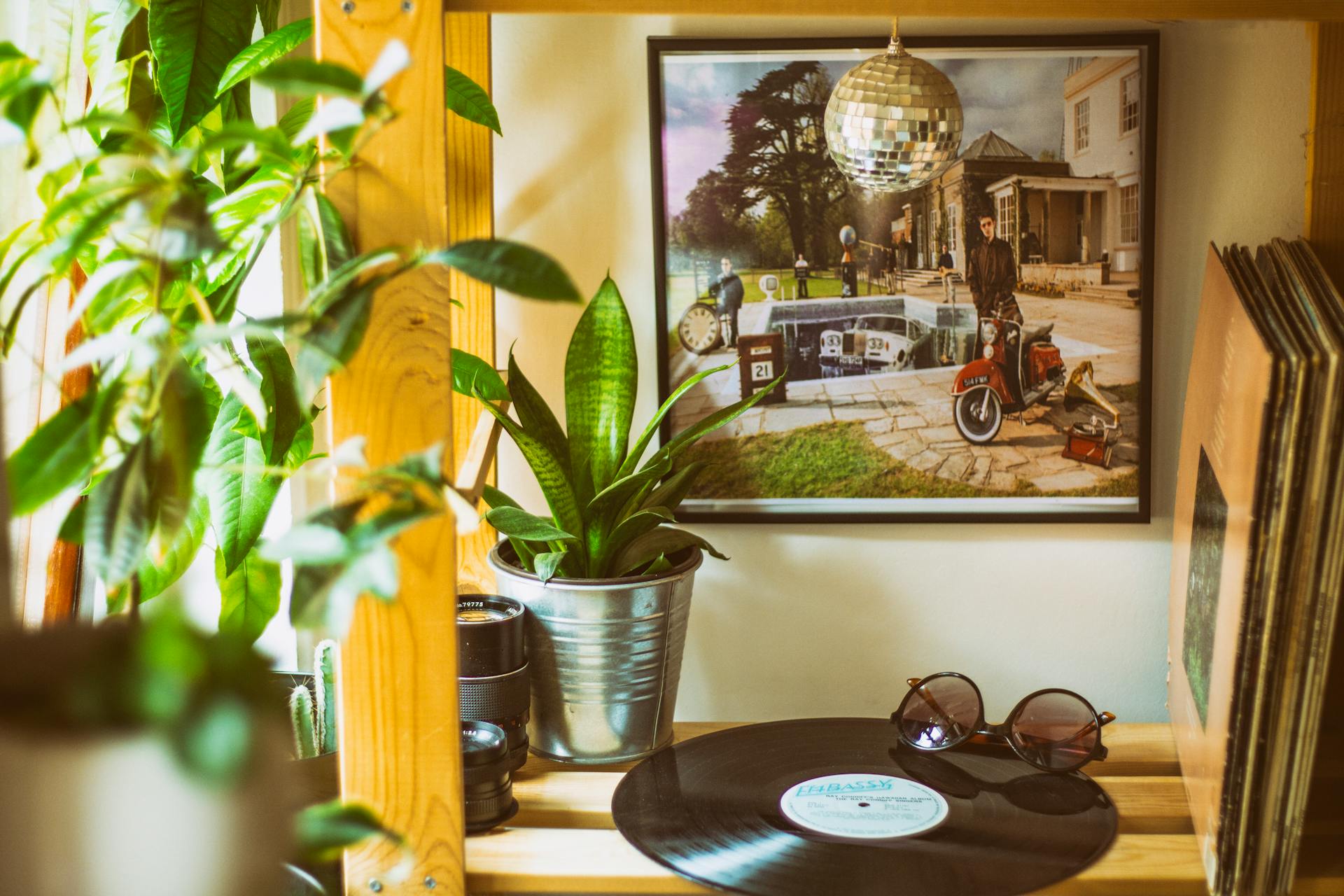 A modern home interior with vinyl records, plants, and decor for a cozy atmosphere.