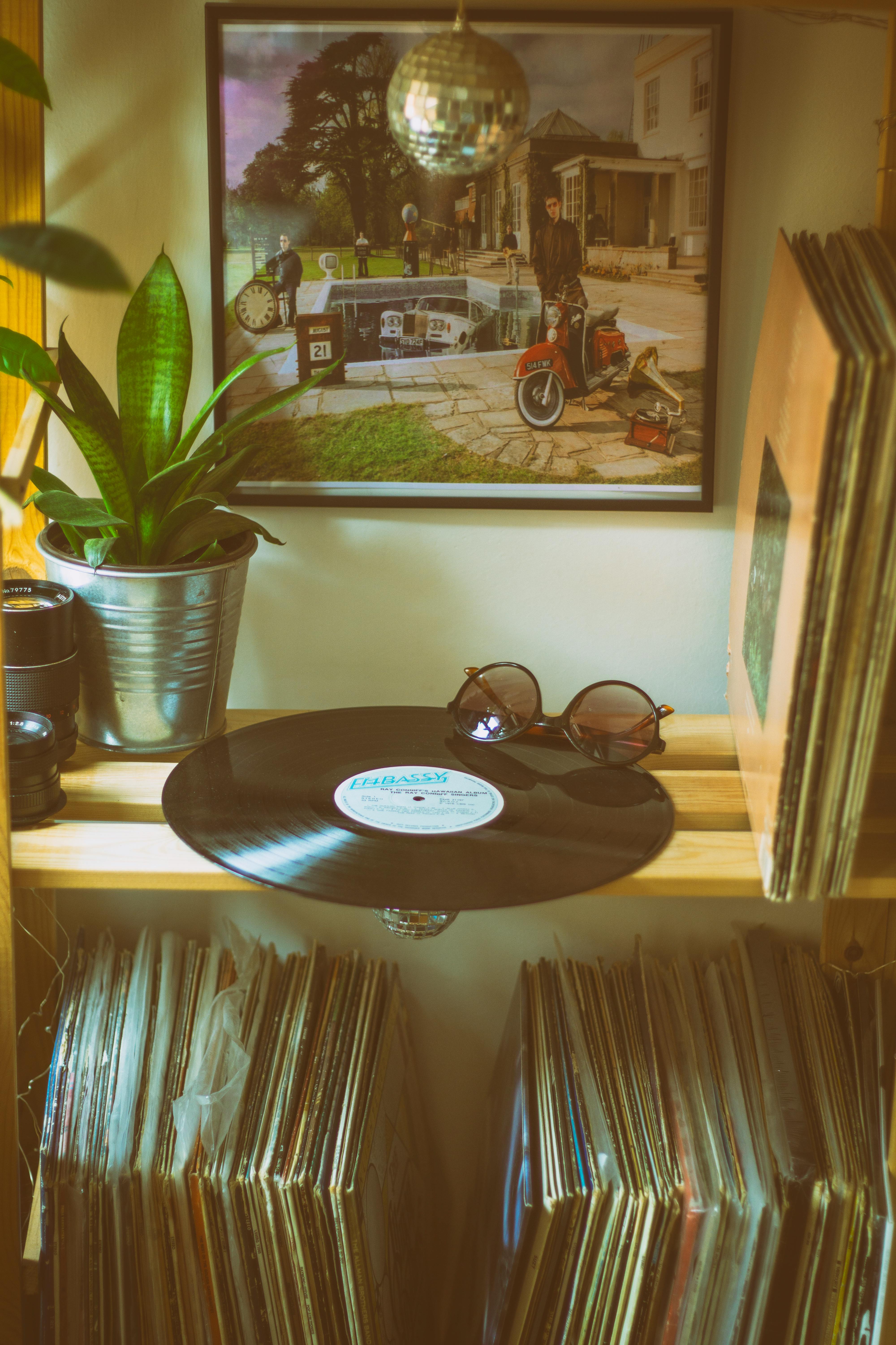 舒适的室内，木架上摆放着黑胶唱片的特写镜头，还有太阳镜和植物