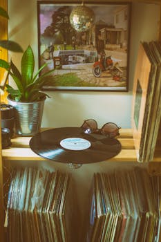 舒适的室内，木架上摆放着黑胶唱片的特写镜头，还有太阳镜和植物