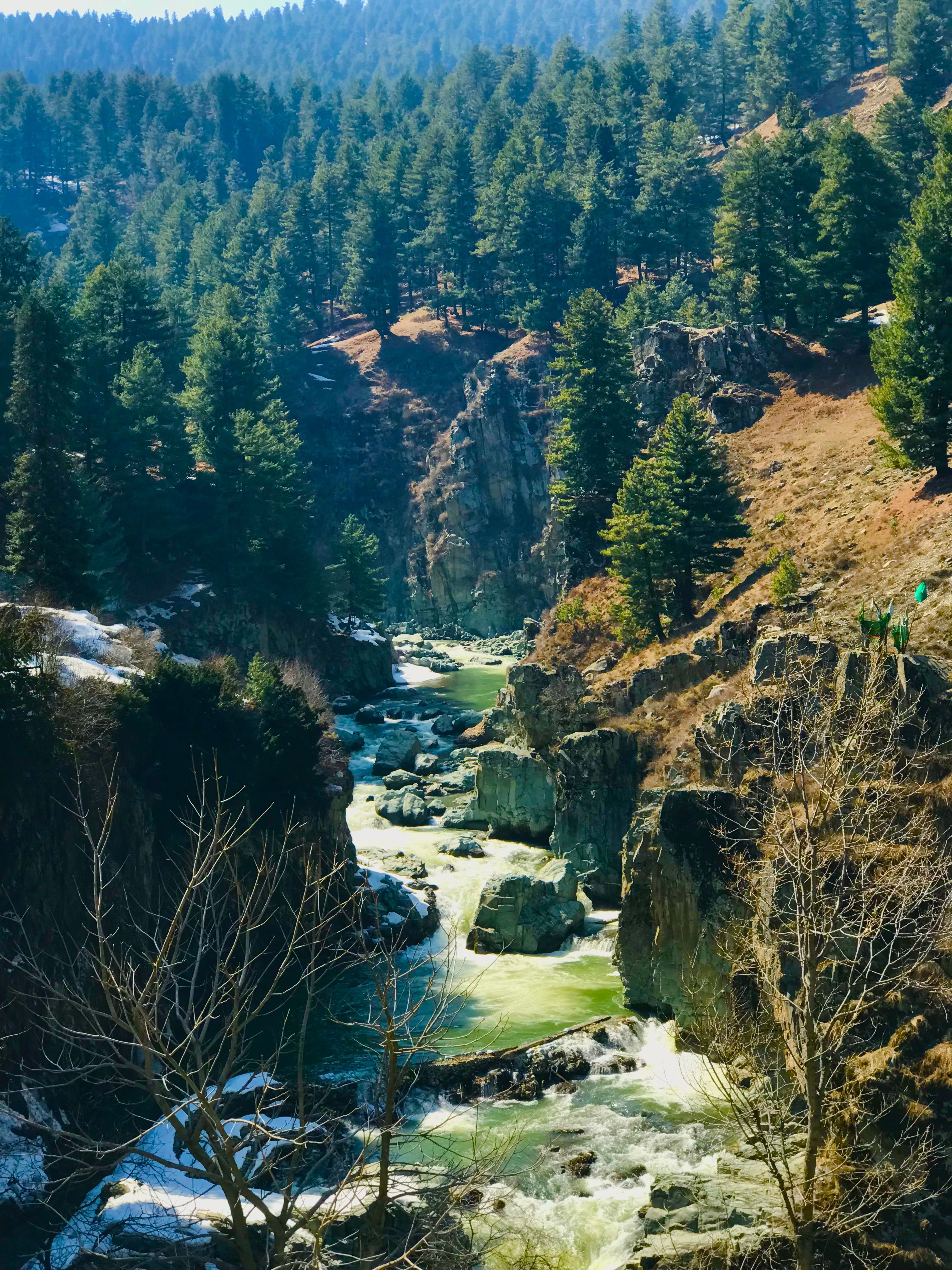 Aharbal Waterfall in the pine forest