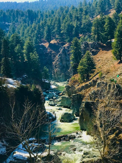 Immagine gratuita di acqua, acqua azzurra, acque calme