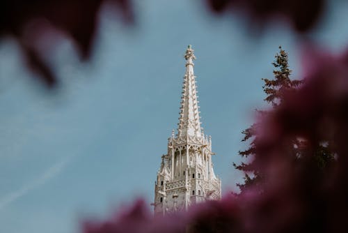Fotos de stock gratuitas de arquitectura gótica, Budapest, católico