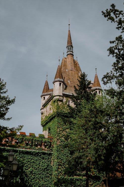 A castle with a tower and green vines