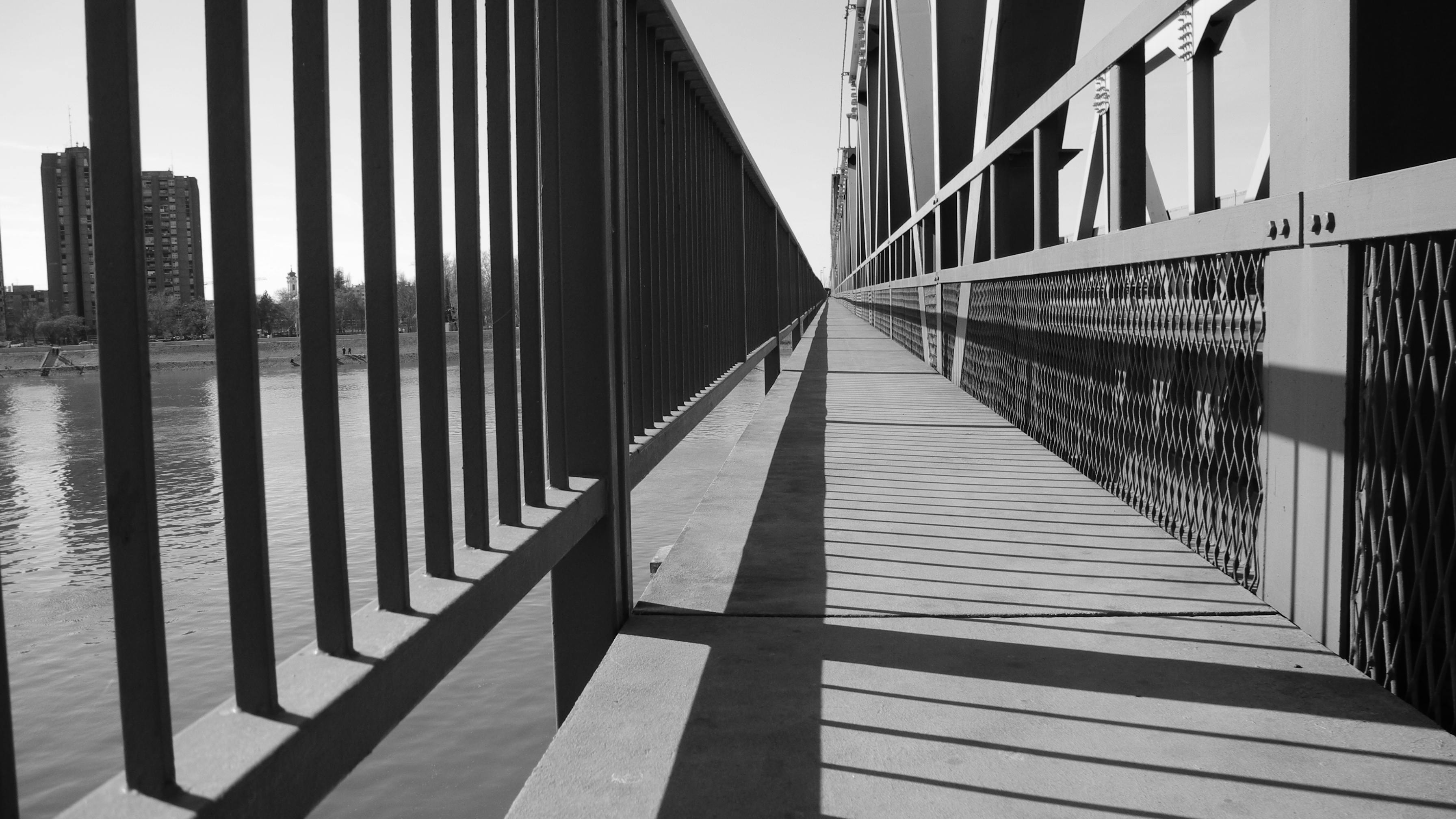 Free stock photo of bridge, danube river, Novi Sad