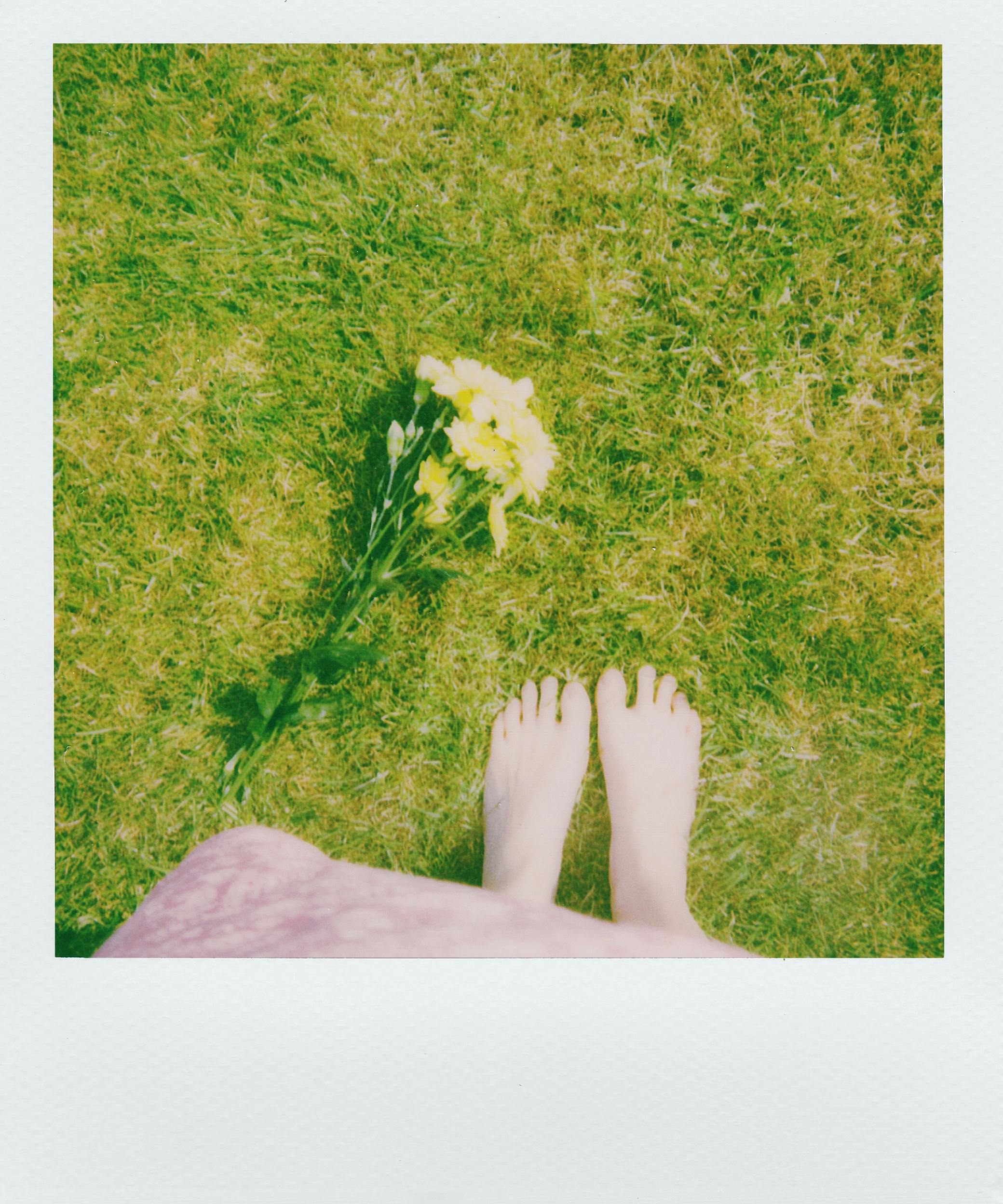 person standing on grass beside petaled flower