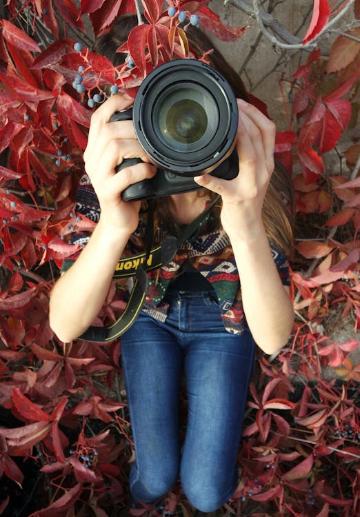 無料 赤い葉の植物に座っているデジタル一眼レフカメラを保持している女性 写真素材