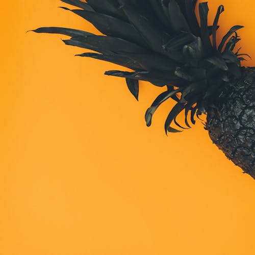 Ilmainen kuvapankkikuva tunnisteilla ananas, appelsiini, copy space