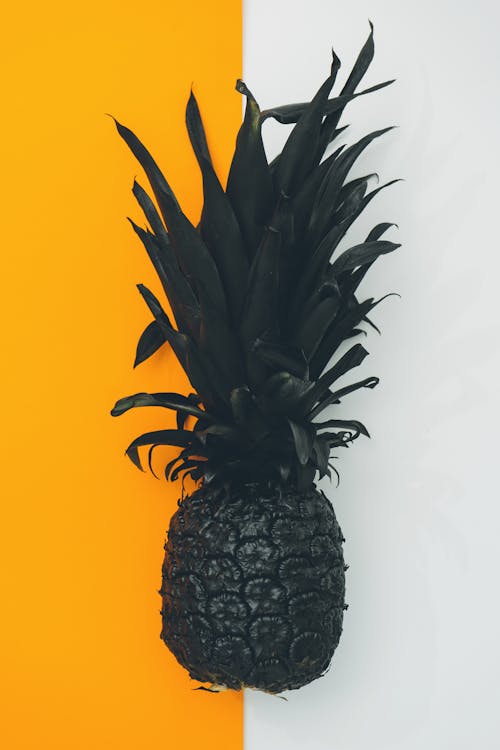 Kostnadsfri bild av ananas, apelsin, flatlay