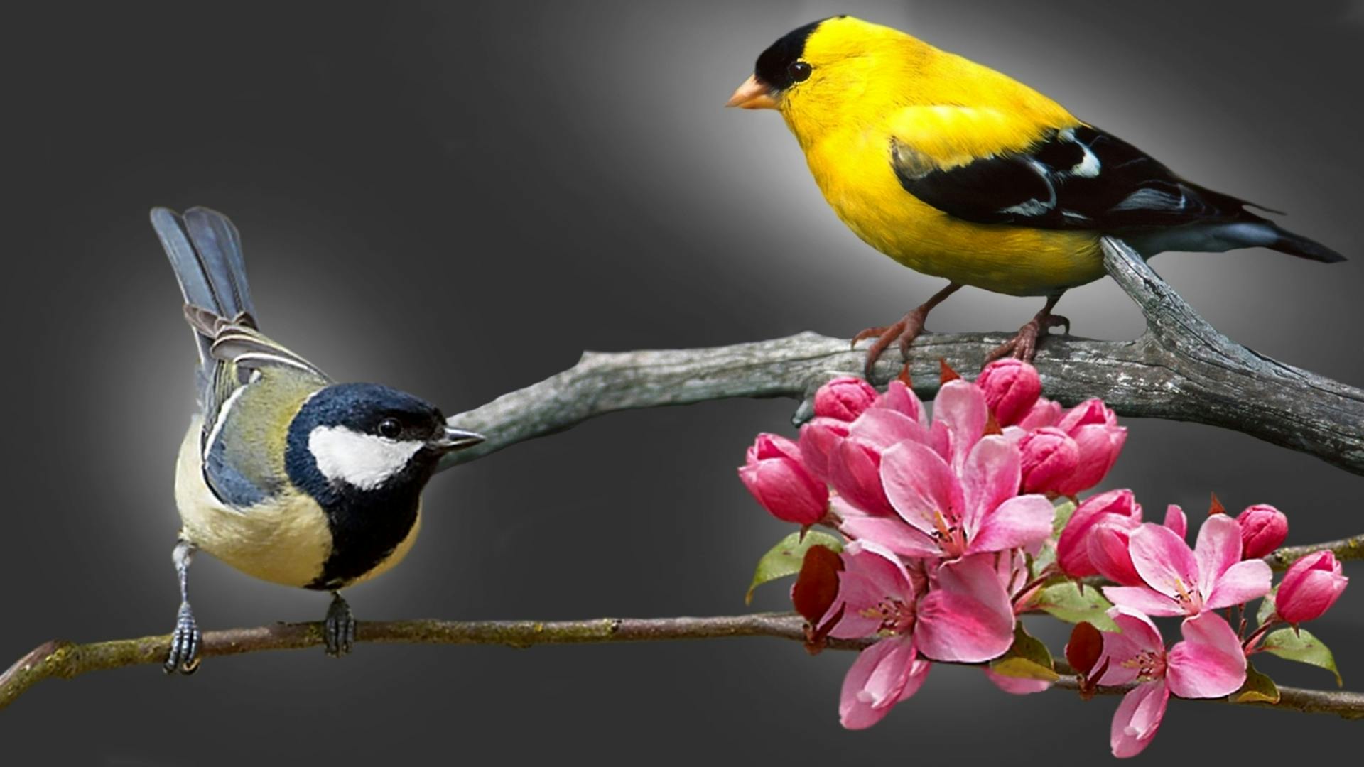 Man hiding behind tree