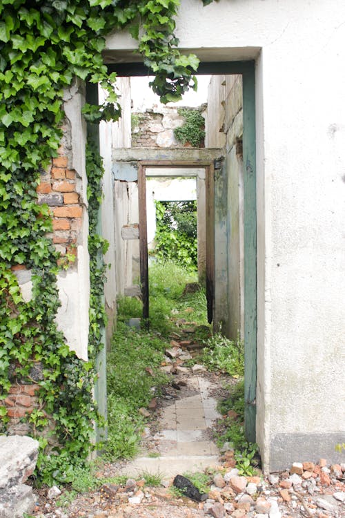 Ingyenes stockfotó ajtó, idős, romok témában