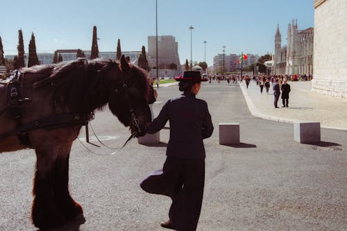 Δωρεάν στοκ φωτογραφιών με άλογο, Άνθρωποι, γυναίκα