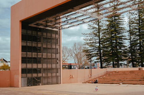 Fotos de stock gratuitas de al aire libre, árbol, arquitectura