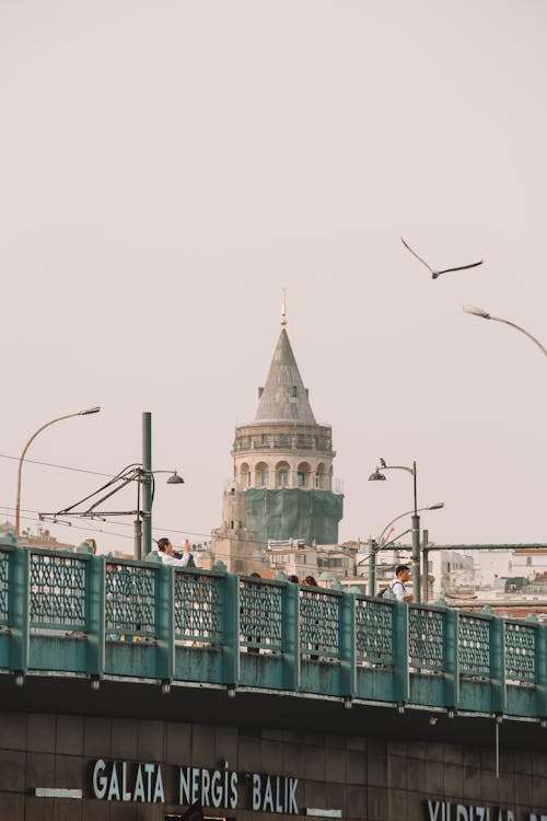 A bird flies over the bridge and a clock tower