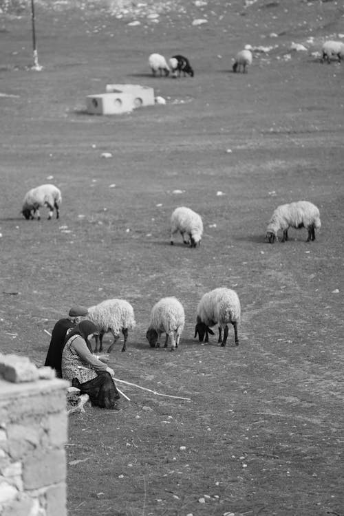 adam, alan, dikey atış içeren Ücretsiz stok fotoğraf