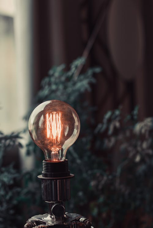 Close-Up Photo of Light Bulb