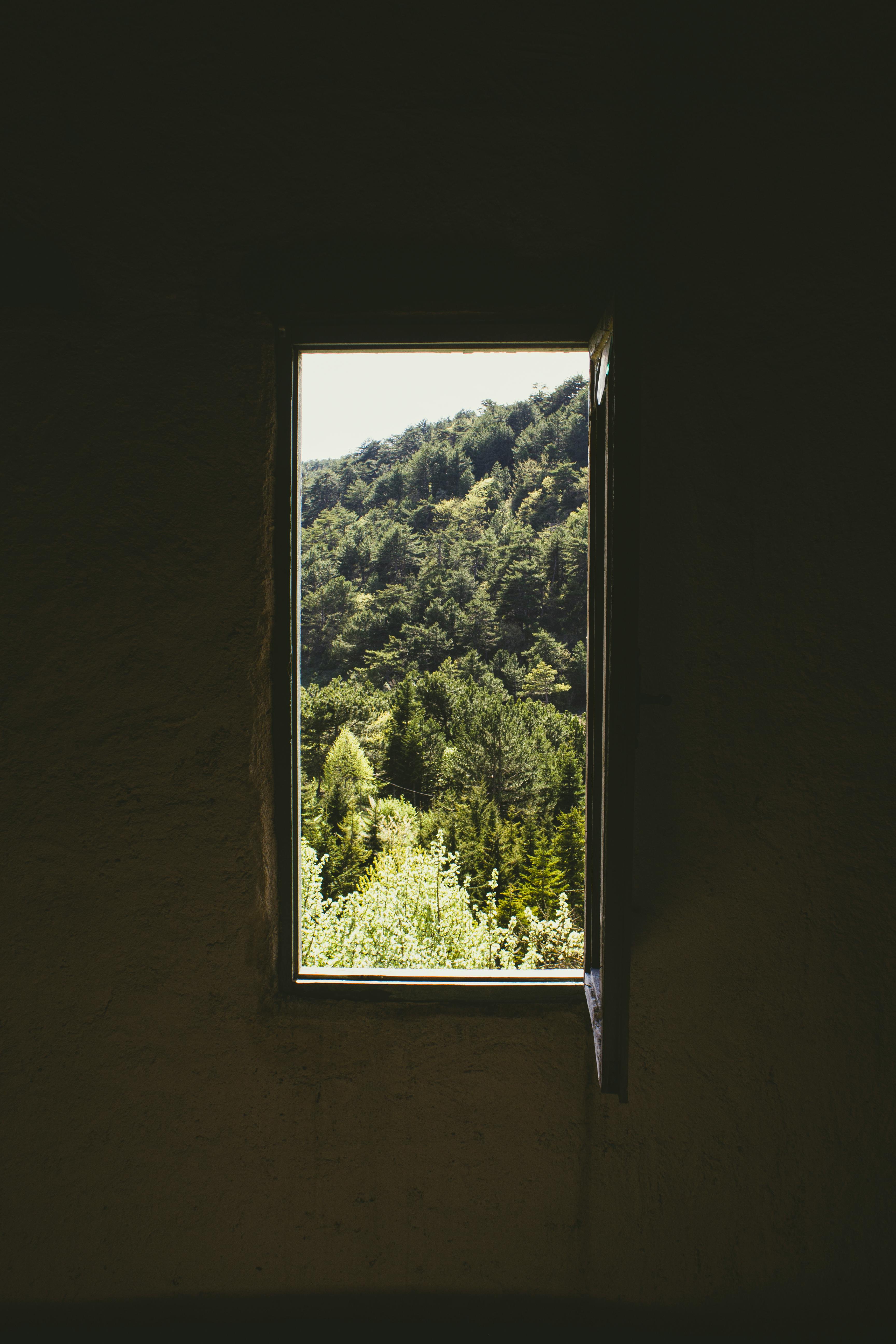 Captivating forest landscape seen through a rustic window in Göynük, Türkiye.